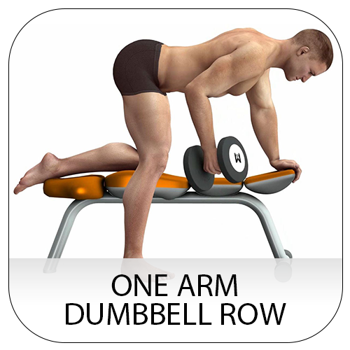 one arm dumbbell row